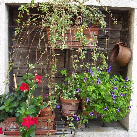 B&B Corte Barbieri Dolcè Exterior foto