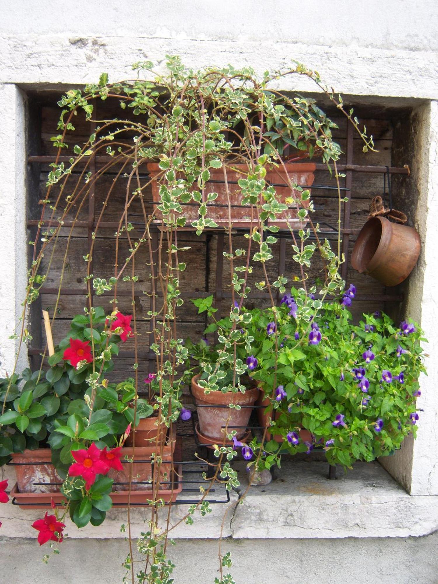 B&B Corte Barbieri Dolcè Exterior foto
